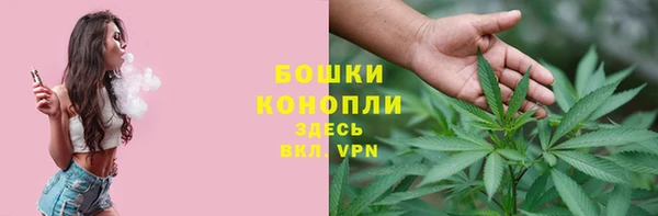 мдпв Коряжма