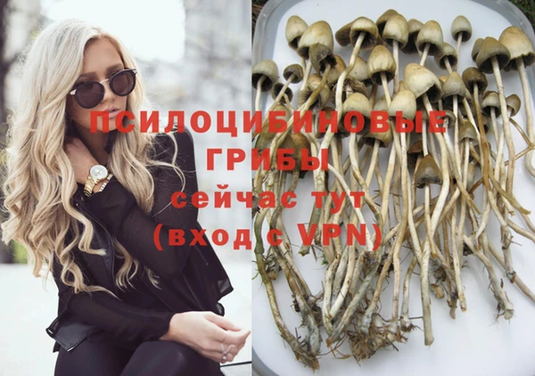 apvp Кулебаки
