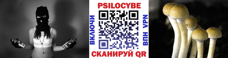 Псилоцибиновые грибы прущие грибы Курчатов