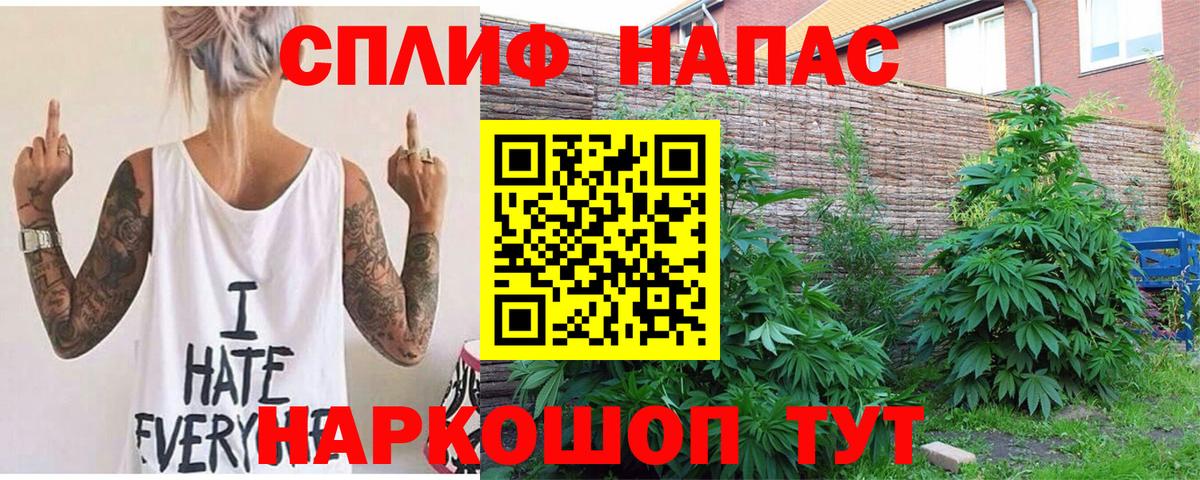 Канабис конопля Курчатов